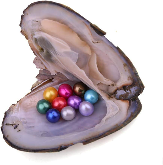 1PC Freshwater Pearl Oyster with 10 Mix Color Round Love Wish Pearls Inside Meaningful Color (6-8mm), Valentines Mothers Day Birthday Gifts Oysters with Pearls Inside (Total 10 Pearls)