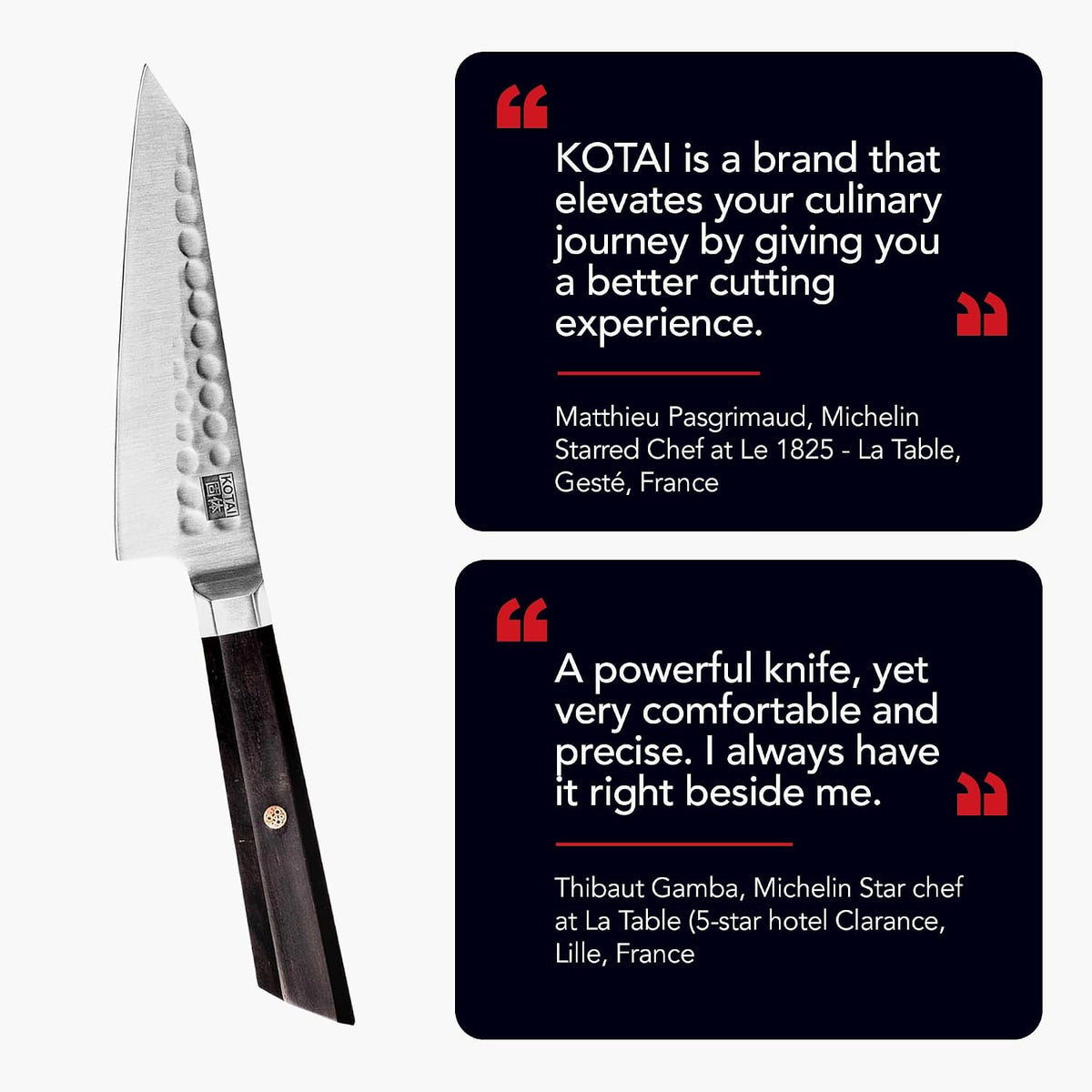 Kiritsuke 8-inch Chef Kitchen Knife | Ultra Sharp Japanese 440C Stainless Steel | Hammered Tsuchime Finish | Ebony Wood Handle | Hidden Full Tang | Bunka Collection Professional Kitchen Knife