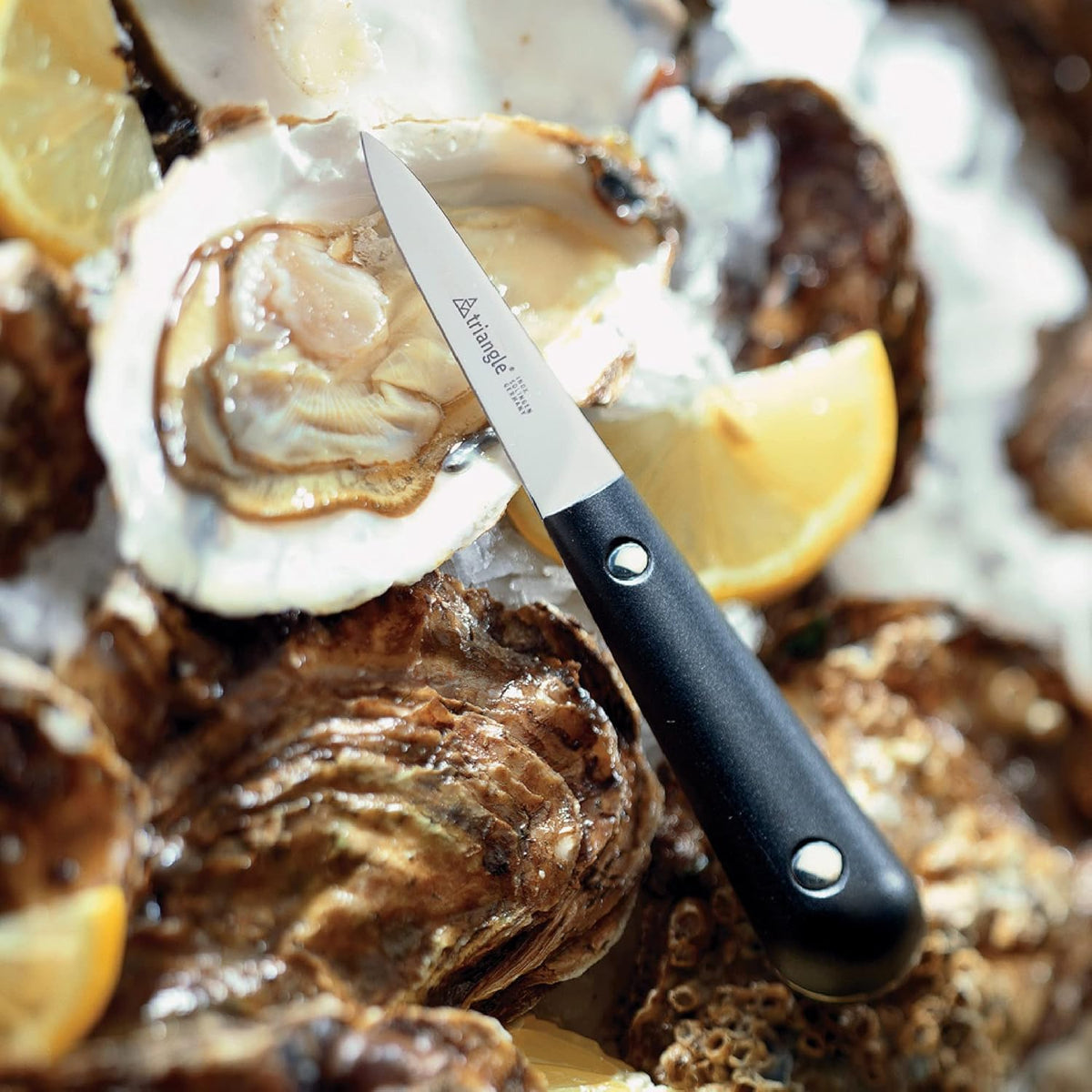 Oyster Knife, Riveted - Stainless Steel - Cleanly Shucks Oysters - Dishwasher Safe - Made in Germany