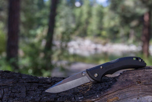 Buck Knives 284 Bantam BBW Folding EDC Knife, 2-3/4” Pocket Knife Blade, Nylon Handle, 420HC Stainless Steel Drop Point Folding Blade, Made in the USA, Black, 1.5 oz