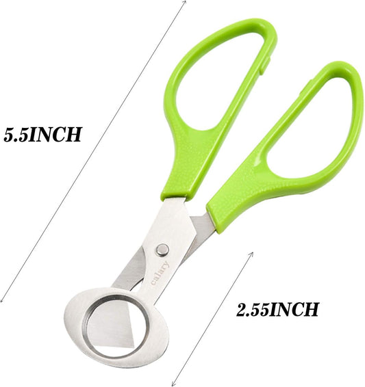 Calary 3Pcs Quail Egg Cutter Scissors Kitchen Egg Shears Tool (Green)
