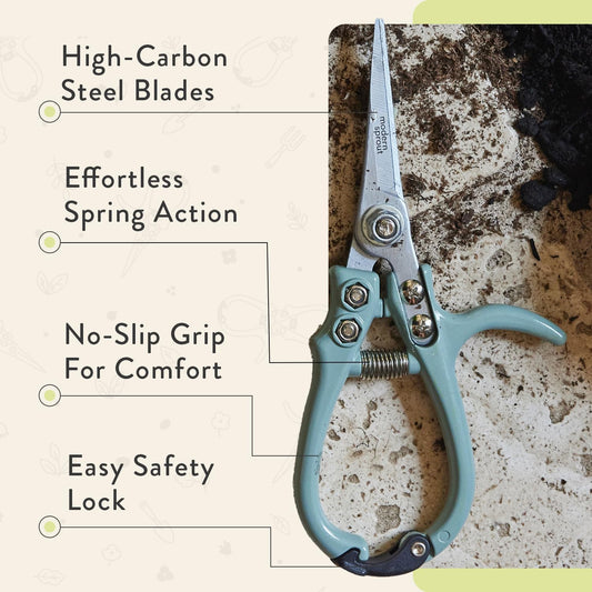 Modern Sprout Pruning Shears - Herb Snipping Scissors- Lightweight Gardening Tools W/Easy Lock - Flower Cutter Garden Shears - Carbon Steel Blade + Reusable Holster (Lavender, 1-Pack)