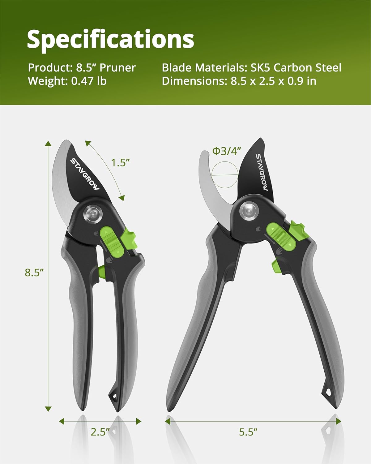 2pcs 6.5" Pruning Shears for Gardening, Ultra Sharp Garden Scissors for Precise Cuts, Stainless Steel Bonsai Clippers with Spring Loaded, 6.5 Inch Garden Shears (1pc Straight & 1pc Curved)