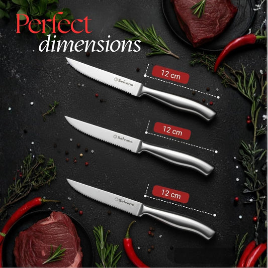 Steak Knives Set of 4, Rust Free Stainless Steel Steak Knife Set with Sharp Serrated Edge and Non Slip Handle