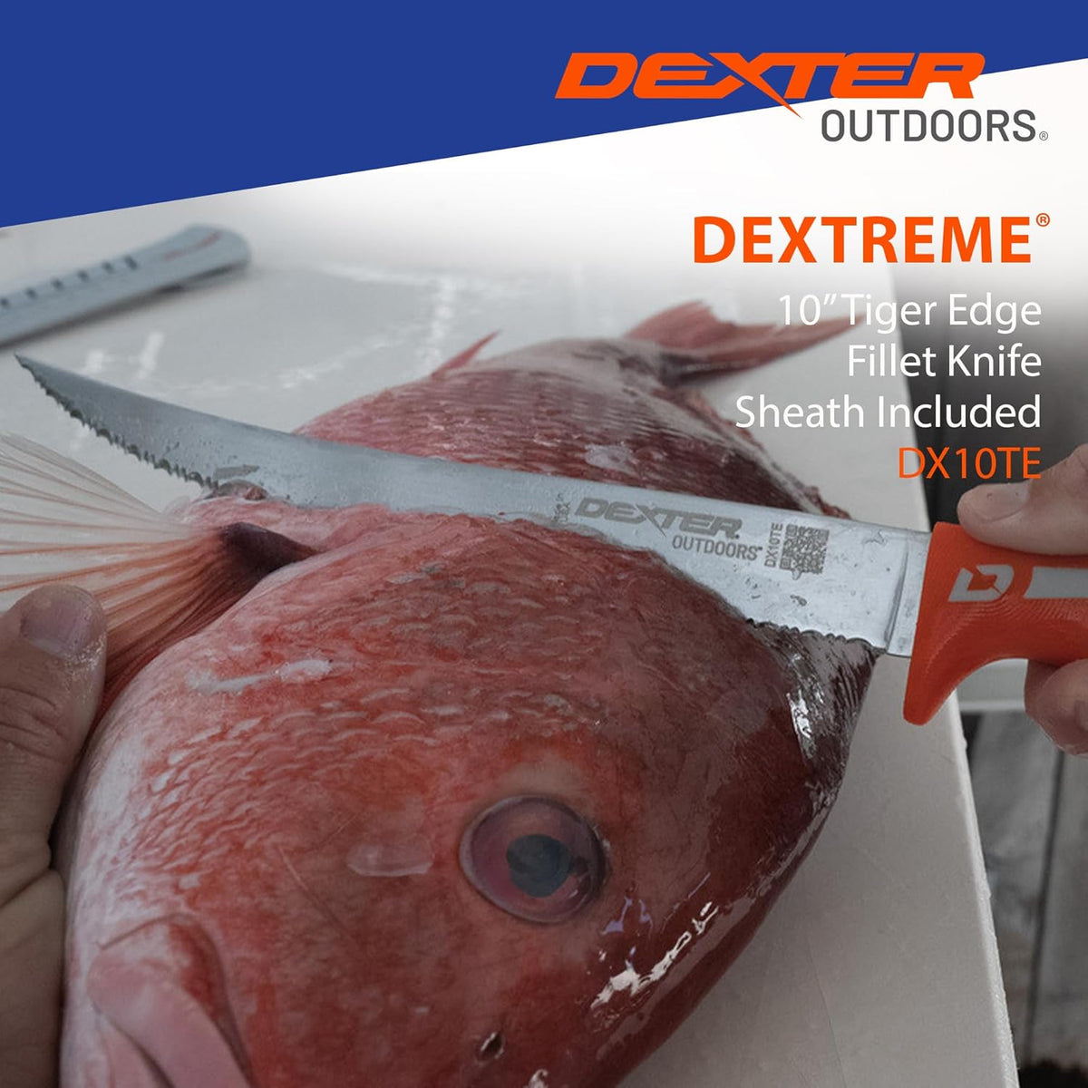 Dextreme Dual Edge 8" Flexible Fillet Knife, Sheath | Flexible dual edge high-carbon stainless blade glides along bones. Protective sheath included for boat and kitchen use.