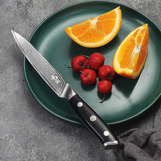 Damascus Kitchen Utility Knife, 5.5" Paring Knife VG10 Damascus Stainless Steel, 67-Layer Forged Blade, Perfect for Peeling, Slicing & Trimming