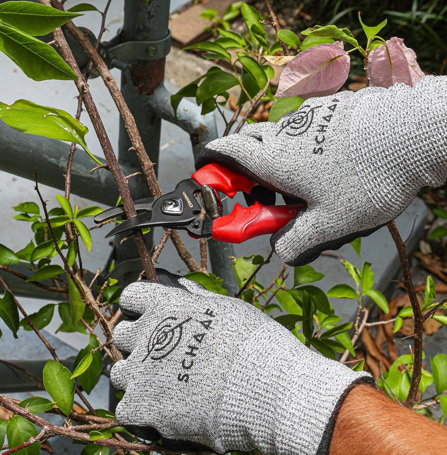 Schaaf Tools Cut Resistant Gloves, Durable, Flexible, Level 5 Cut Protection for Wood Carving and Woodworking