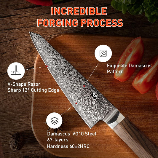 Boning Knife 5.5 inch Damascus VG-10 Super Steel 67-Layer Damascus with Hexagon Natural Wood Handle, Deboning knife - Stiff Blade