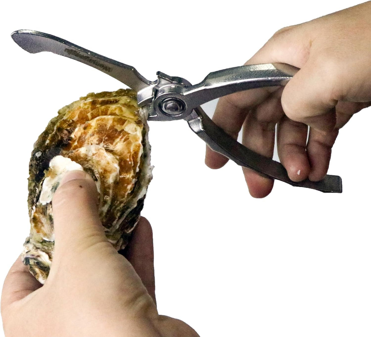 Oyster Shucking Knife Stainless Steel Oyster Opener Oyster Cutter Seafood Opener for Kitchen Seafood Tool Seafood Opener Kit Tools Gift