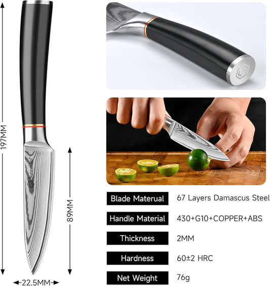 Damascus Paring Knife,Japanese VG10 Core Steel Damascus Fruit Knife,Professional Razor Sharp Small Kitchen Knives with Knives Sharpner
