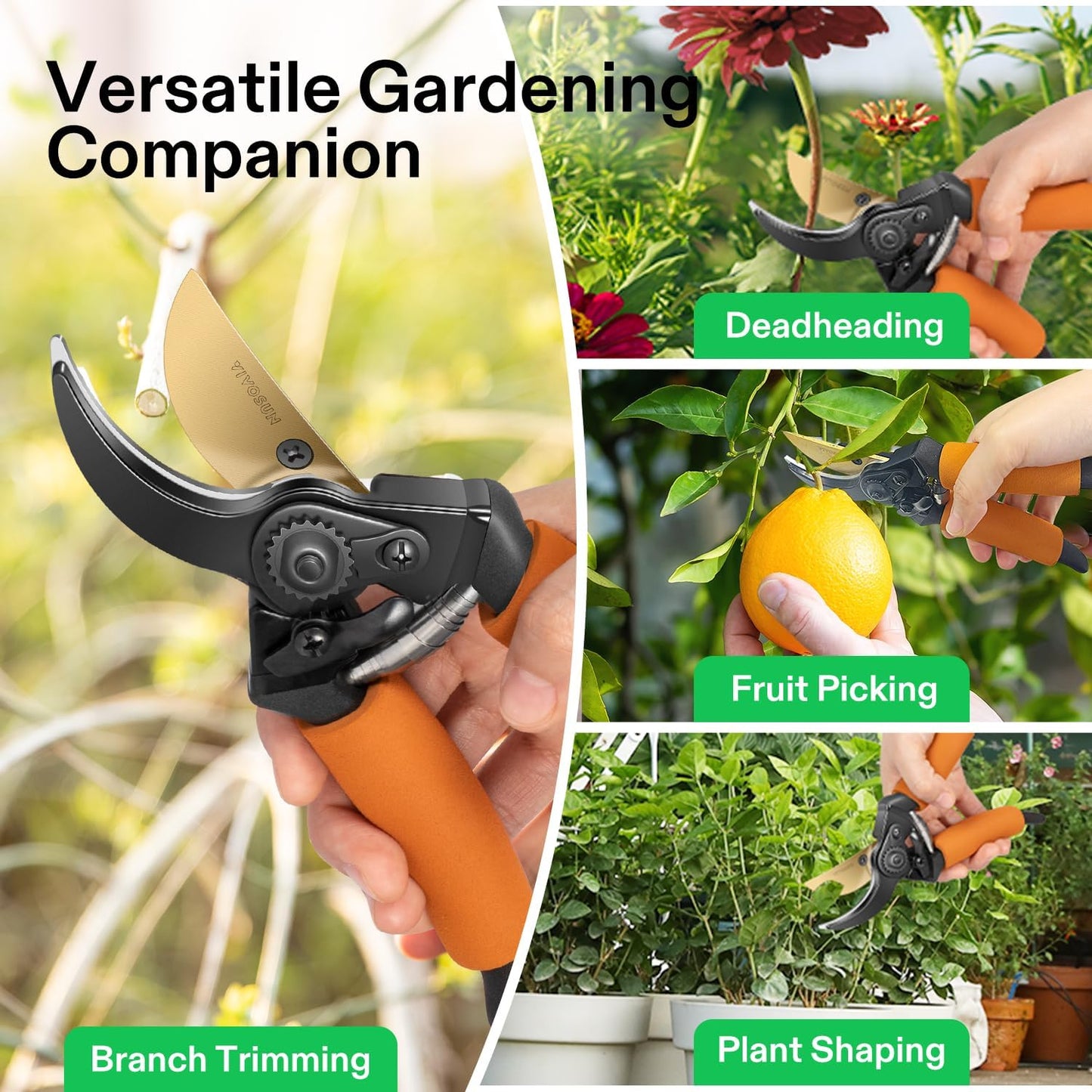 Pruning Shears for Gardening, Q-Shaped Garden Scissors for Plants | Straight Precision Stainless Steel Blades, Comfort Ergonomic Grips, Ideal Snip for Deadheading, Trimming & Shaping Plants