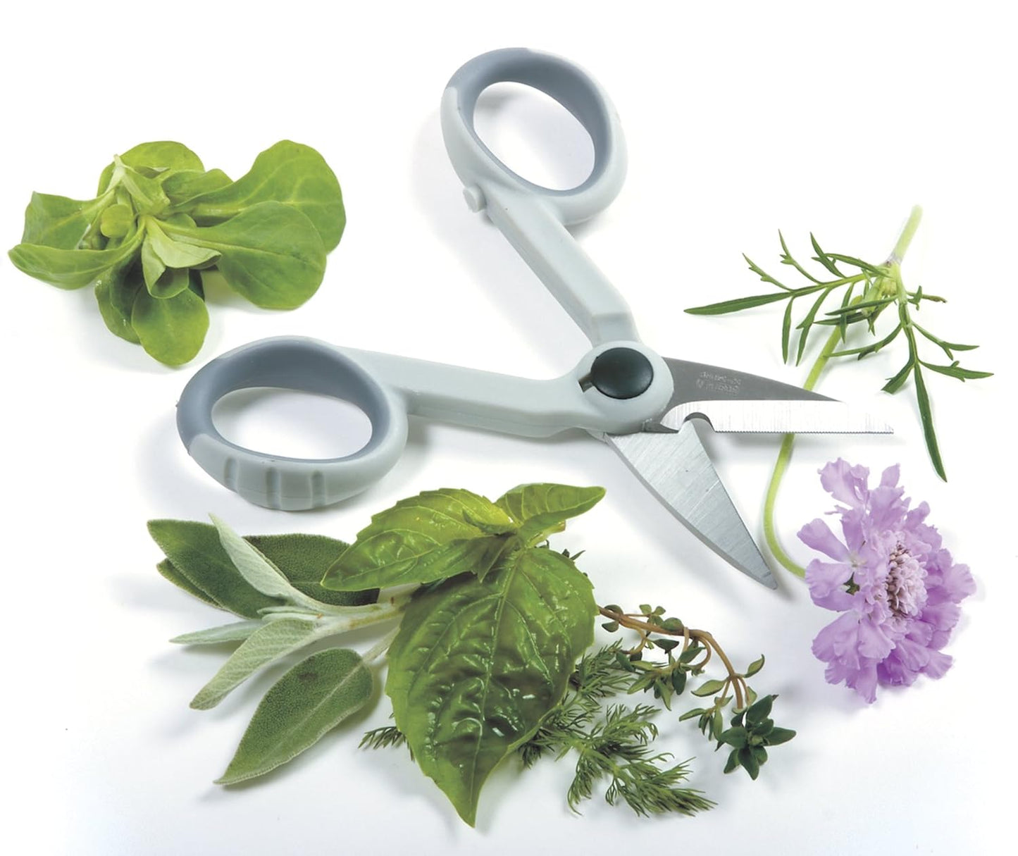 Norpro My Favorite Scissors (1536)