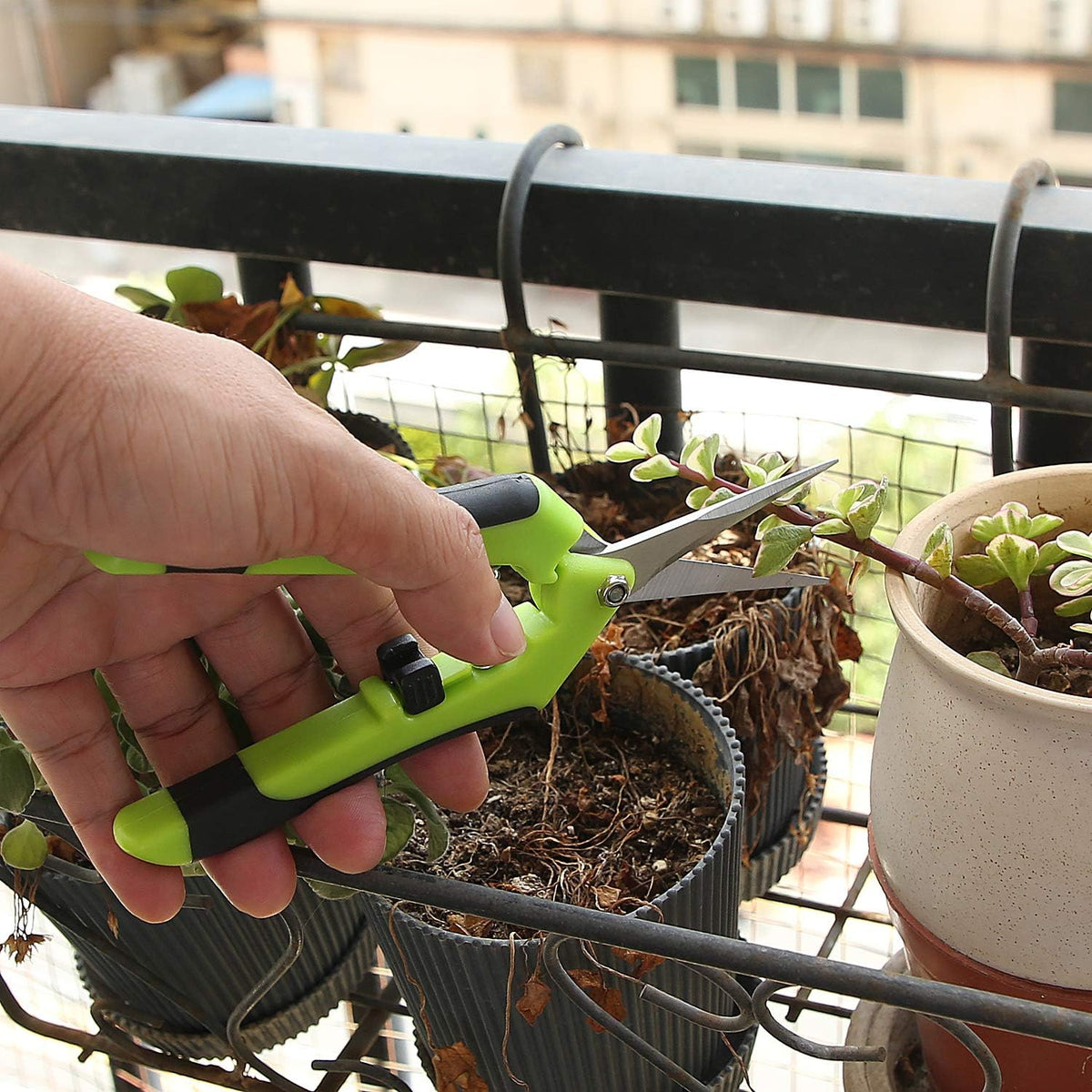 8 Pack 6.5 Inch Bud Trimming Scissors, Professional Stainless Steel Gardening Hand Pruners Micro-Tip Pruning Snips with Straight Blades for Trimming Garden Herb Plants Flowers