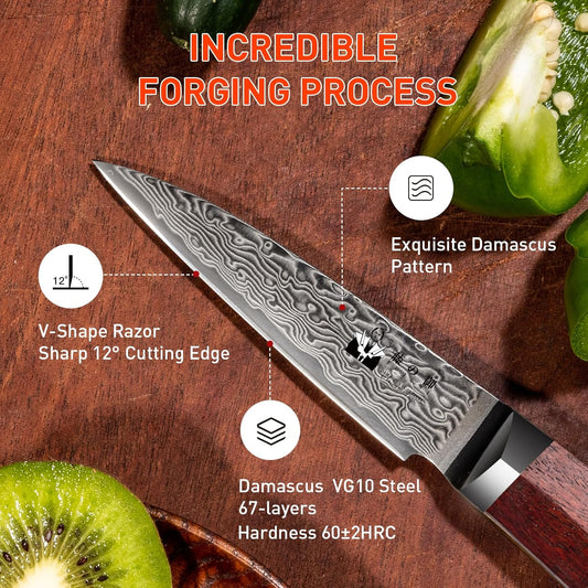 Damascus Paring Knife 3.5-inch Fruit and Vegetable Paring Knife 67-Layer Damascus with VG10 Cutting Core Peeling Knife with Full Tang Ergonomic Natural Wood Handle for Peeling