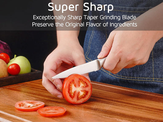 Utility Knife, 4 Inch Serrated Paring Knife with Super Sharp High Carbon Stainless Steel Blade for Fruit Vegetable Cutting Peeling Slicing – Silver