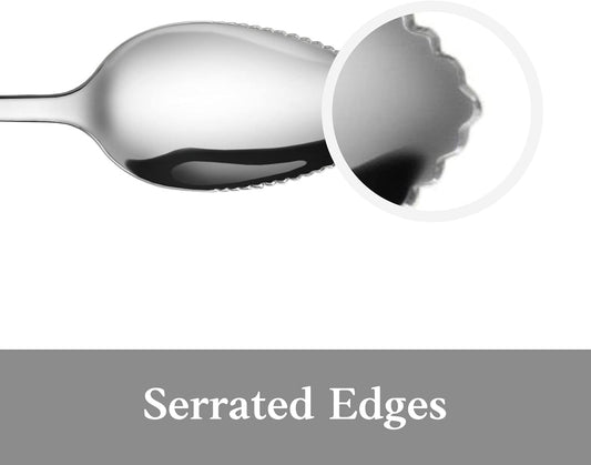 Rain 18/10 Stainless Steel Grapefruit Spoons, Serrated Edge Citrus Spoons, 6.35 Inch, Mirror Polished Silver, Set of 6