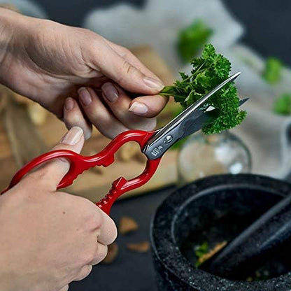 Now S 3-pc Shears Set, Blue, Red and Green