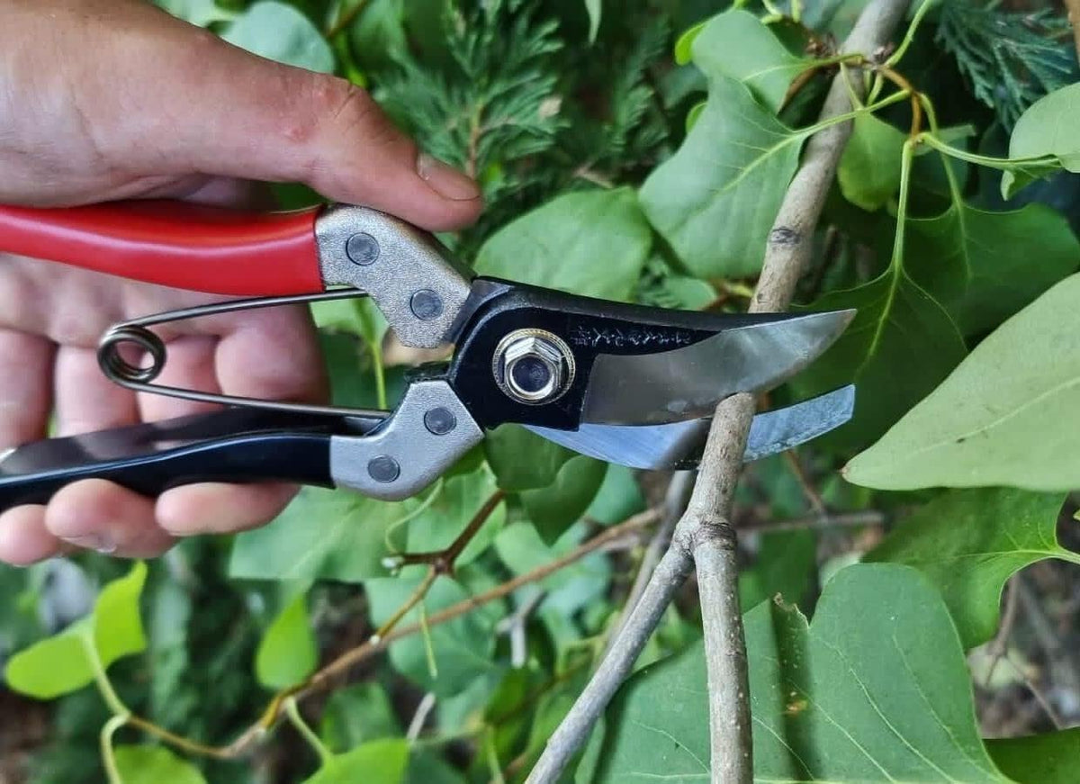 ® 8" Pro Pruning Scissors, Premium Japanese SK5 Hi-Carbon Steel Blades, Non-Slip Vinyl Coated Handles, Lightweight & Ergonomic, Multi-Tasking Pruning Shears, Garden Snips, Precision Clippers