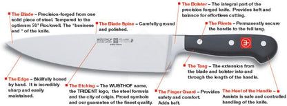 WÜSTHOF Classic 7" Hollow Edge Nakiri Knife