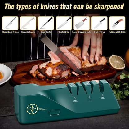 Knife Sharpener, Electric, Diamond Abrasives | Stainless Steel and Ceramic Knives, Dust Collection Box, Quick Sharpening, Polishing