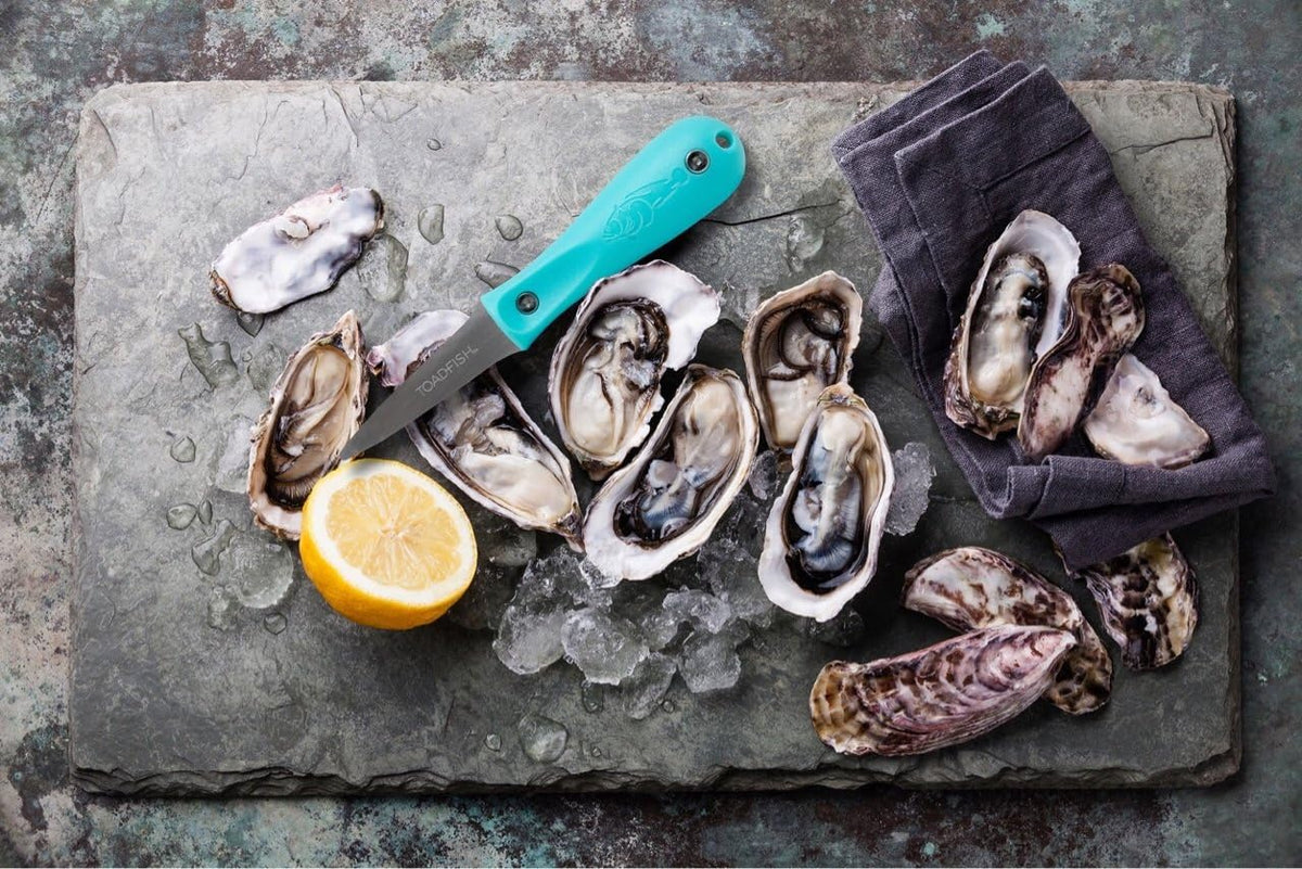 Oyster Knife, Stainless Steel Shucking Tool with Bent Tip Blade
