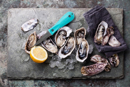 Oyster Knife, Stainless Steel Shucking Tool with Bent Tip Blade