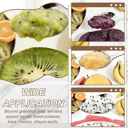4Pcs Grapefruit Spoons, Stainless Steel Fruit Utensils Spoon with Serrated Edge Thick Gauge Handle Grapefruit Knife Tool Mirror Finish for Citrus Melon Dessert, Purple