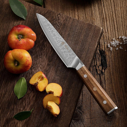 Oribu Kiritsuke Chef Knife, 8-Inch VG10 Damascus, Olive Wood Handle | Precision kiritsuke kitchen knife for peeling fruit, trimming vegetables, shaping garnishes, and detailed kitchen preparation