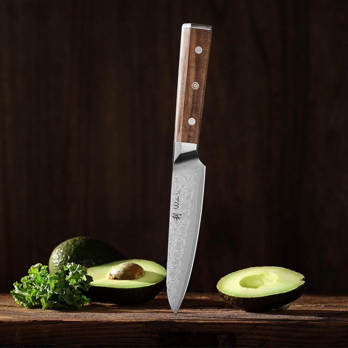 Oribu Kiritsuke Chef Knife, 8-Inch VG10 Damascus, Olive Wood Handle | Precision kiritsuke kitchen knife for peeling fruit, trimming vegetables, shaping garnishes, and detailed kitchen preparation