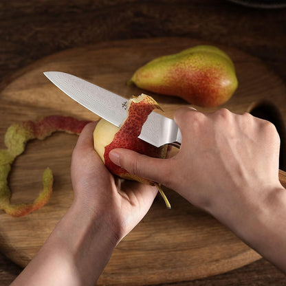 Oribu Kiritsuke Chef Knife, 8-Inch VG10 Damascus, Olive Wood Handle | Precision kiritsuke kitchen knife for peeling fruit, trimming vegetables, shaping garnishes, and detailed kitchen preparation