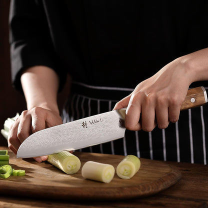 Oribu Kiritsuke Chef Knife, 8-Inch VG10 Damascus, Olive Wood Handle | Precision kiritsuke kitchen knife for peeling fruit, trimming vegetables, shaping garnishes, and detailed kitchen preparation