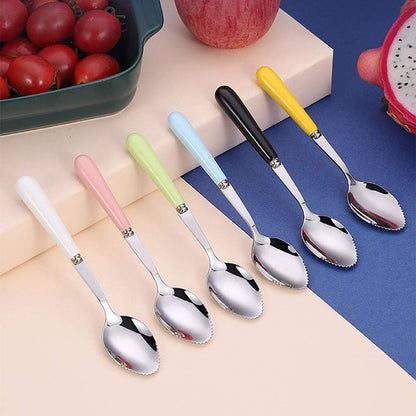 Grapefruit Spoons with Round Serrated Edges for Citrus Kiwi Fruit and Dessert, Ceramic Handle Stainless Steel Dessert Spoons with Storage Box (Pink)
