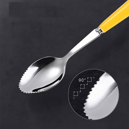 Grapefruit Spoons with Round Serrated Edges for Citrus Kiwi Fruit and Dessert, Ceramic Handle Stainless Steel Dessert Spoons with Storage Box (Pink)