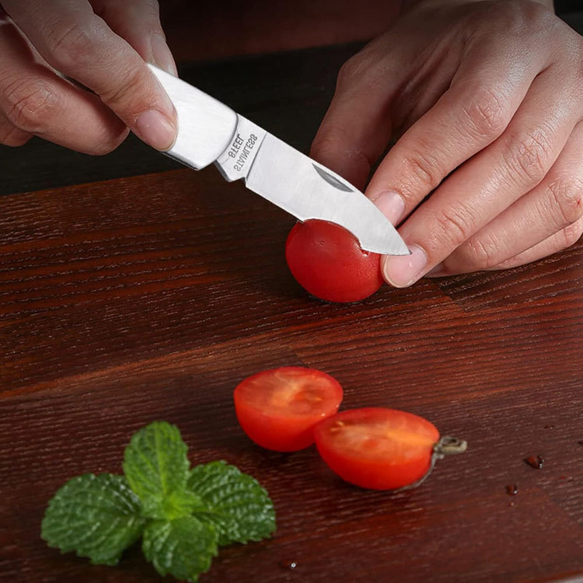 Paring Knife,all Steel Foldable Fruit Knife, All Steel Handle, Fruit Knife Small of Exquisite,small and Easy to Carry,suitable for Most Types of Vegetables and Fruits (4.9 inch)