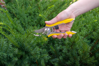 ColorPoint Stainless Steel Compact Garden Pruning Shears, Hand Pruner, Garden Clippers, with Heavy Duty Blade and Easy grip Handle, Yellow