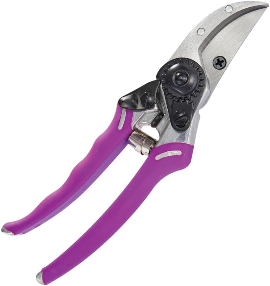 ColorPoint Stainless Steel Compact Garden Pruning Shears, Hand Pruner, Garden Clippers, with Heavy Duty Blade and Easy grip Handle, Yellow