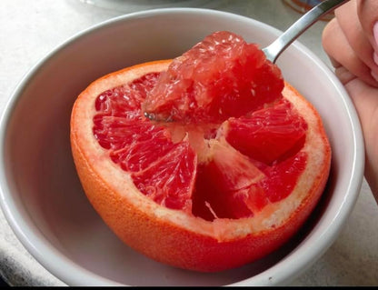 GrapeFruit Spoons with Serrated Edge Set of 2 - Stainless Steel Easy Cut and Scoop Grapefruit Spoons - Polished Mirror Food Grade - Longer Spoon Handle - Dishwasher Safe