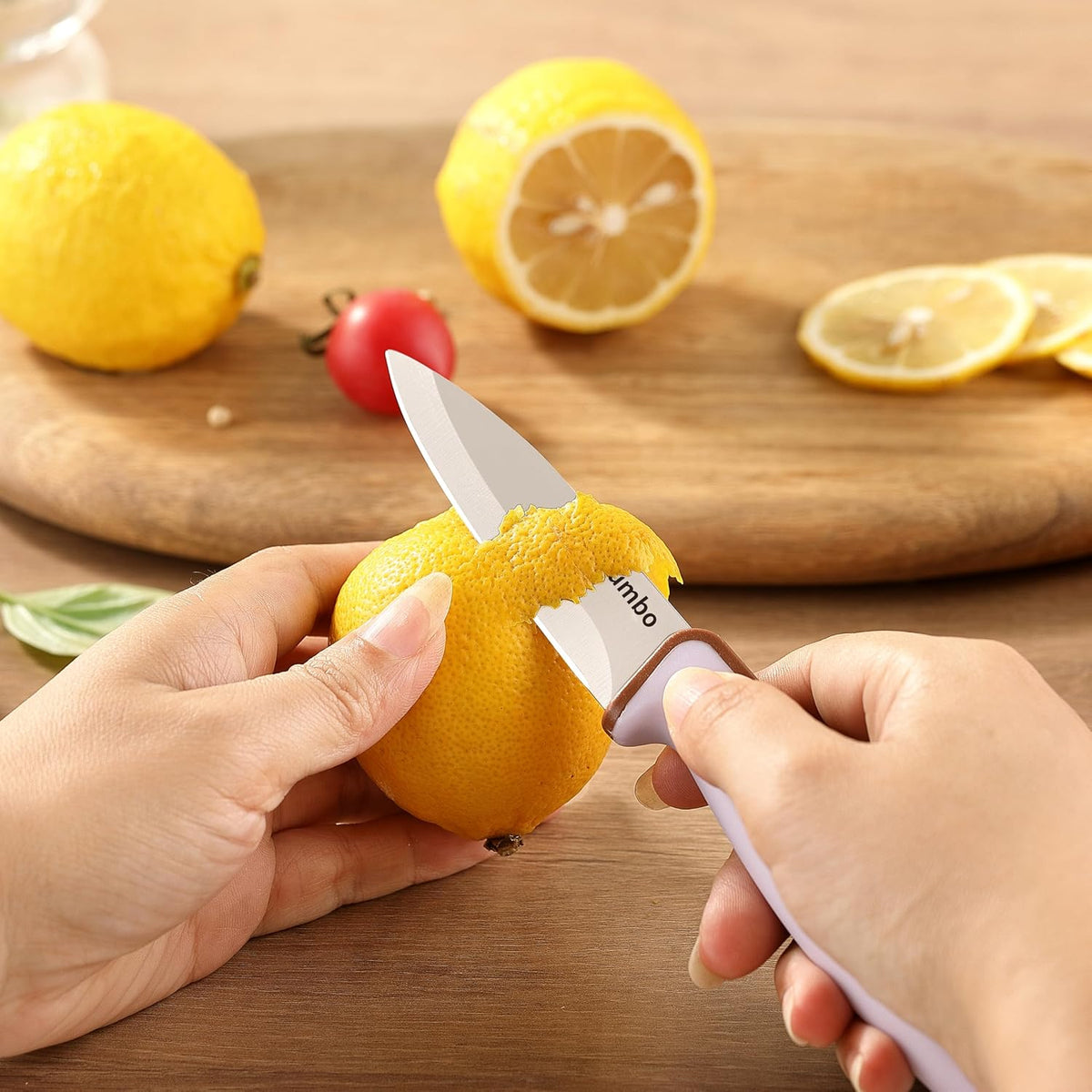 4PCS Paring Knife, Paring knives, 4.5 & 4 Inch Peeling Fruit and Vegetable Knife, Ultra Sharp Kitchen Knives, German Steel, PP Plastic Handle (Food-Themed Design)