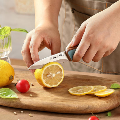 4PCS Paring Knife, Paring knives, 4.5 & 4 Inch Peeling Fruit and Vegetable Knife, Ultra Sharp Kitchen Knives, German Steel, PP Plastic Handle (Food-Themed Design)