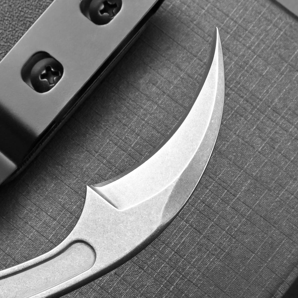 Ccanku C1102 Fixed Blade Knife, D2 Blade Stainless Steel Handle Claw Knife with K Sheath for Outdoor EDC Hunting Survival (Silver)
