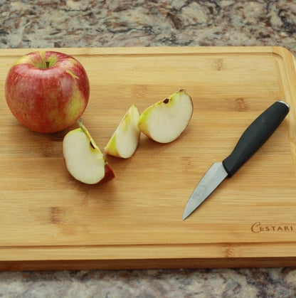 Ceramic Advanced Revolution 3 Inch Paring Knife with Sheath | Charcuterie Board Accessories, Black Mirror Finish Razor Sharp Blade , Never Needs Sharpening;