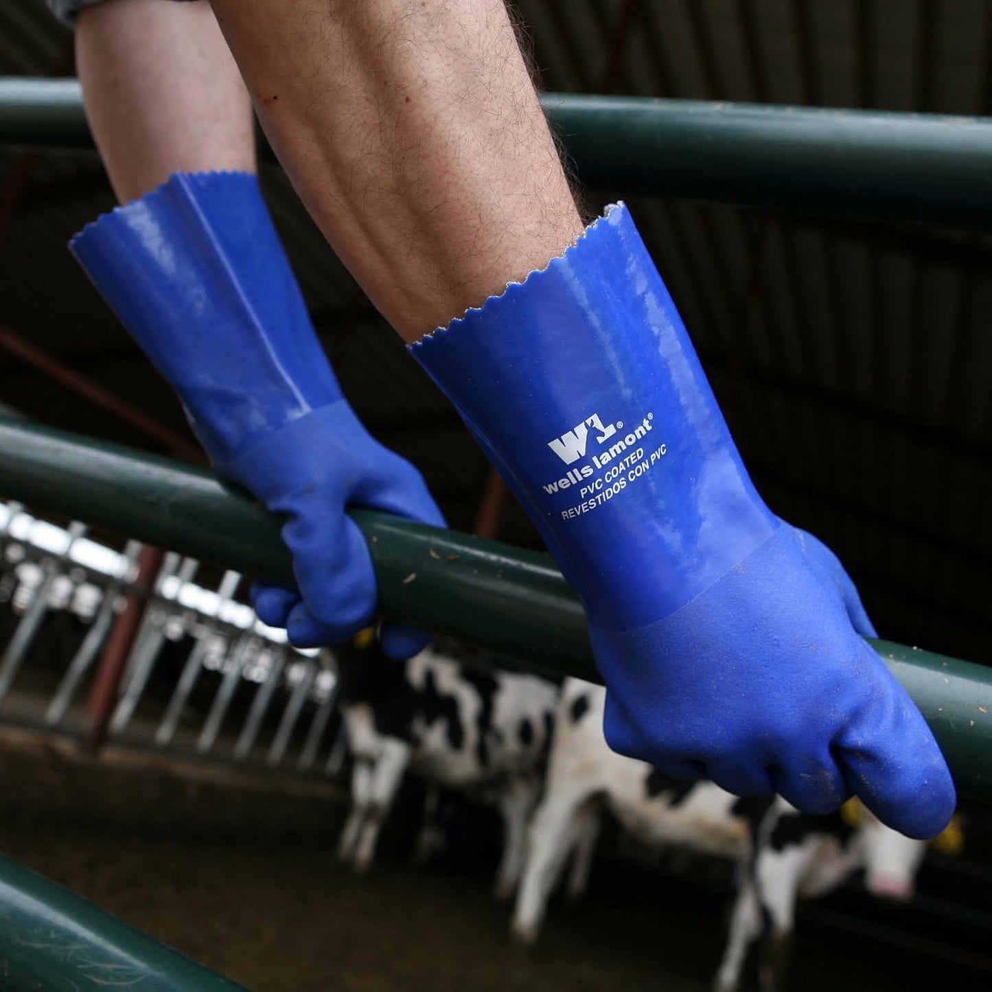 Heavy Duty Rubber Gloves with PVC Coating, Chemical and Abrasion Resistant, Waterproof, 12-Inch Cuff, Large, Blue (174L)