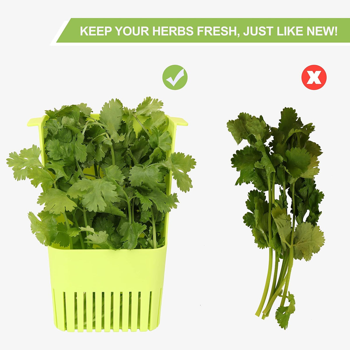 Herb Keeper Set: 3 Pack Herb Saver+1 Pack Herb Scissors+2 Pack Herb Stripper, BPA-Free Plastic Herb Container for Cilantro, Mint & Asparagus, Keeps Fresh Herbs for 3 Times Longer