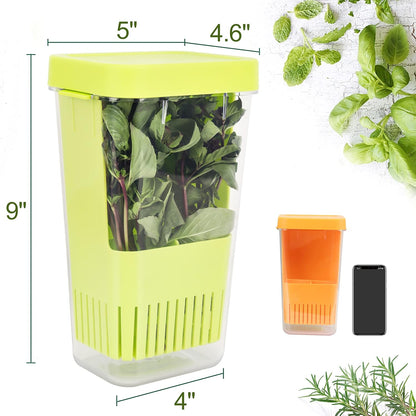Herb Keeper Set: 3 Pack Herb Saver+1 Pack Herb Scissors+2 Pack Herb Stripper, BPA-Free Plastic Herb Container for Cilantro, Mint & Asparagus, Keeps Fresh Herbs for 3 Times Longer
