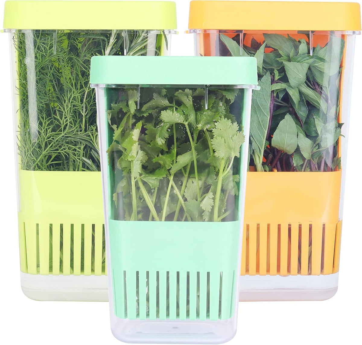 Herb Keeper Set: 3 Pack Herb Saver+1 Pack Herb Scissors+2 Pack Herb Stripper, BPA-Free Plastic Herb Container for Cilantro, Mint & Asparagus, Keeps Fresh Herbs for 3 Times Longer