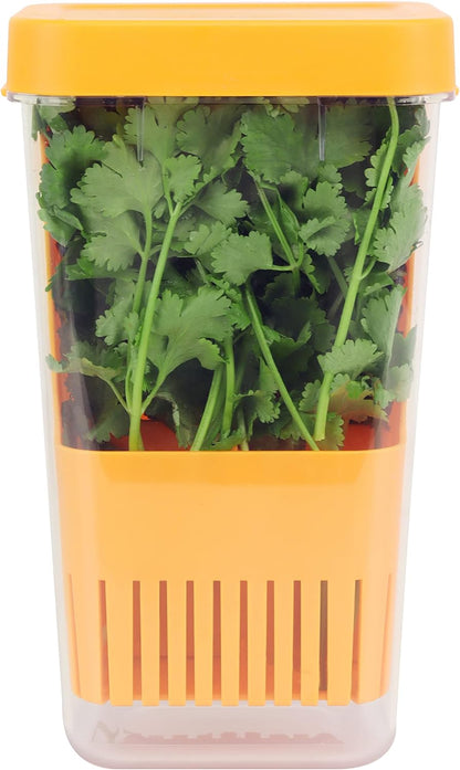 Herb Keeper Set: 3 Pack Herb Saver+1 Pack Herb Scissors+2 Pack Herb Stripper, BPA-Free Plastic Herb Container for Cilantro, Mint & Asparagus, Keeps Fresh Herbs for 3 Times Longer