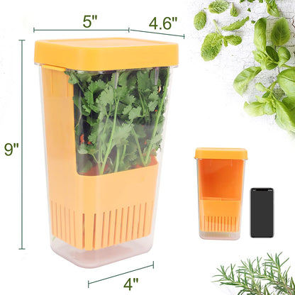 Herb Keeper Set: 3 Pack Herb Saver+1 Pack Herb Scissors+2 Pack Herb Stripper, BPA-Free Plastic Herb Container for Cilantro, Mint & Asparagus, Keeps Fresh Herbs for 3 Times Longer
