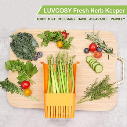 Herb Keeper Set: 3 Pack Herb Saver+1 Pack Herb Scissors+2 Pack Herb Stripper, BPA-Free Plastic Herb Container for Cilantro, Mint & Asparagus, Keeps Fresh Herbs for 3 Times Longer