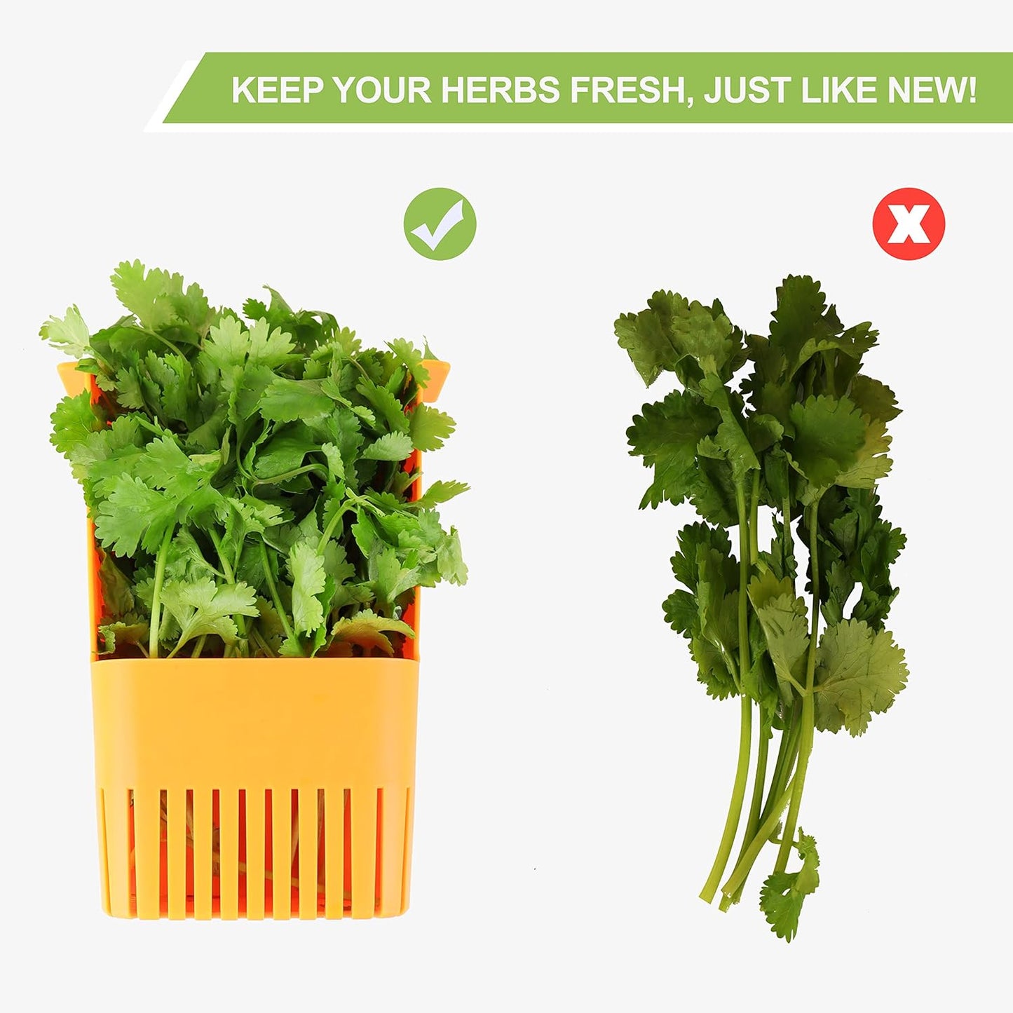 Herb Keeper Set: 3 Pack Herb Saver+1 Pack Herb Scissors+2 Pack Herb Stripper, BPA-Free Plastic Herb Container for Cilantro, Mint & Asparagus, Keeps Fresh Herbs for 3 Times Longer