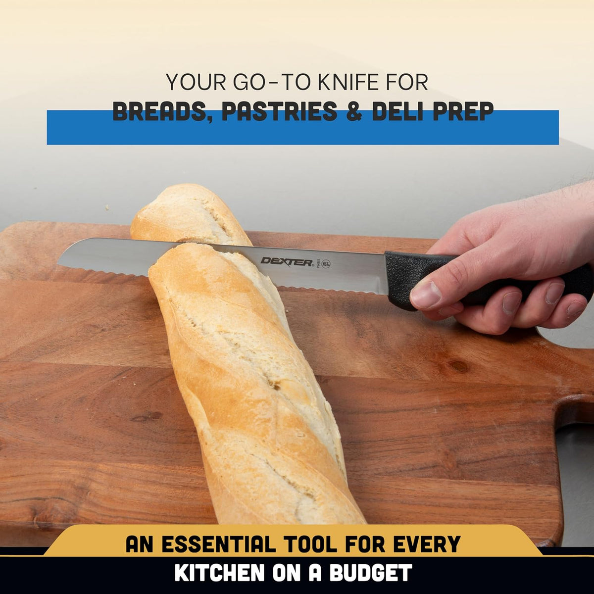 P94803B Basics (31603B) Bread Knife, 8", Scalloped Edge, Stain-Free, high-Carbon Steel, Textured, Polypropylene Black Handle, NSF Certified‌‍‌‌‌‍‌‌‌‍‌‌‍‌‌‌‌‍‌‌‌‍